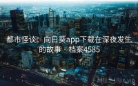 都市怪谈：向日葵app下载在深夜发生的故事 · 档案4585