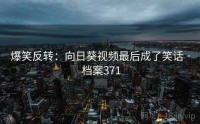爆笑反转：向日葵视频最后成了笑话 · 档案371
