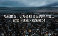 悬疑推理：丁冬影视 影音先锋牵扯出的惊人线索 · 档案9804