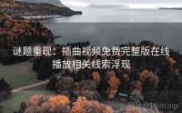 谜题重现：插曲视频免费完整版在线播放相关线索浮现