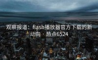 观察报道：flash播放器官方下载的新动向 · 热点6524