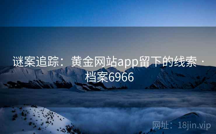 谜案追踪：黄金网站app留下的线索 · 档案6966